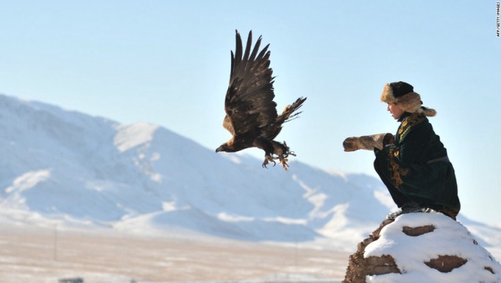 CNN: Оң қолдарына бүркіт қондырған қазақстандық бүркітшілер нағыз еркекке тән батылдығымен ғажайып әсер қалдырады