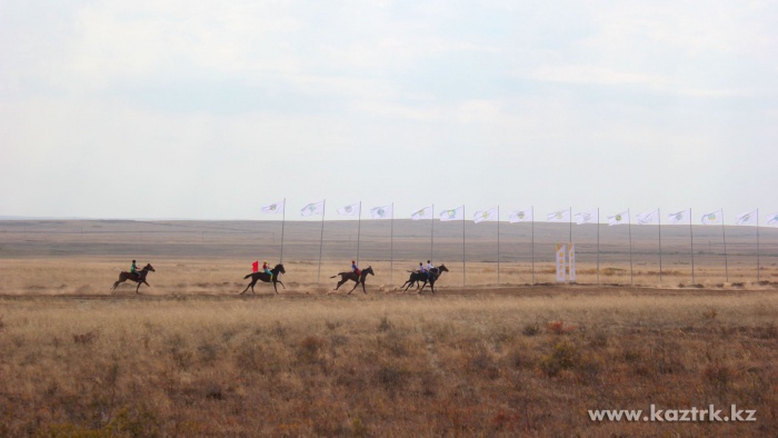 «Алтын тұлпар» аламан бәйгесі 51 шақырымға дейін ұзартылды