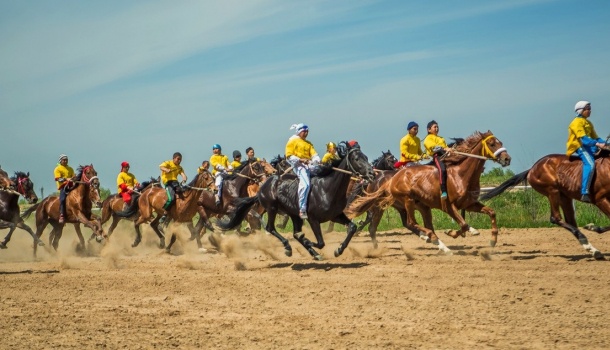 «Алтын тұлпар» аламан бәйгесінде ат сыншылары мен ат тағалаушылар сайысы өтеді