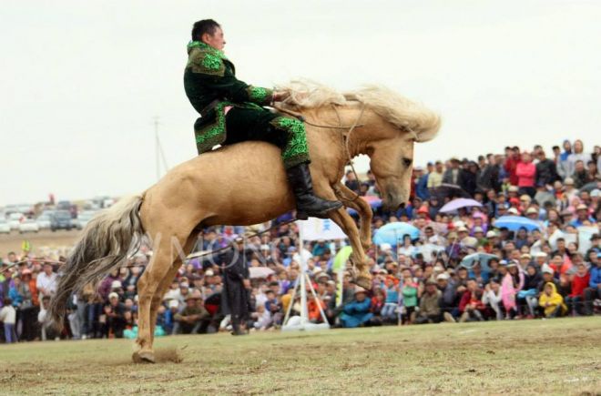 Асау үйретуден ел біріншілігі өтеді