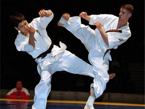 Павлодарда кёкушинкайдан «Ертіс арланы» турнирі өтті