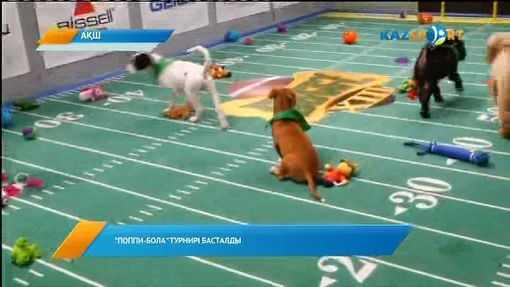 Жаңалықтар. Кешкі шығарылым (18.01.2017)